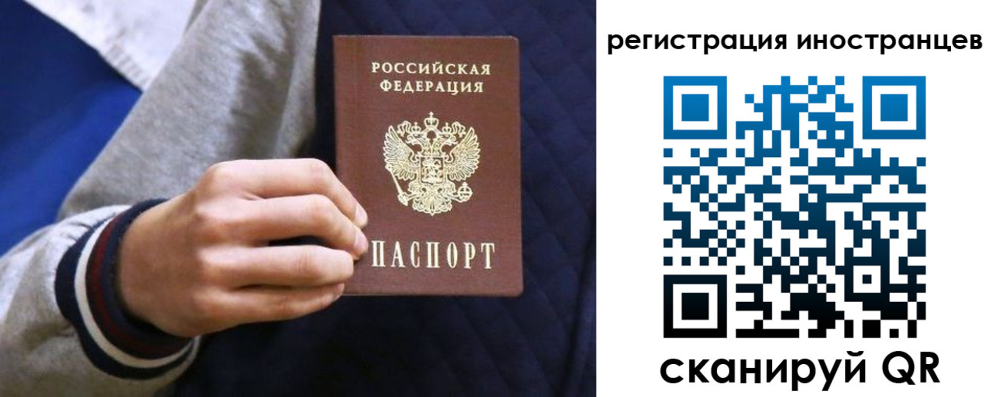 временная регистрация для всех в Светлогорске