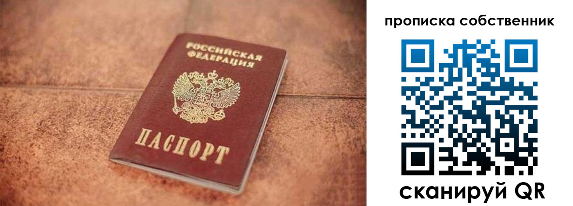 где прописаться в Светлогорске