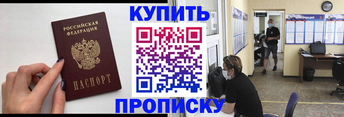 прописка гарантия в Светлогорске